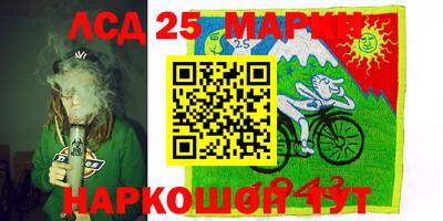 спиды Краснознаменск