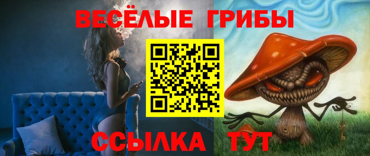 Галлюциногенные грибы прущие грибы Кольчугино