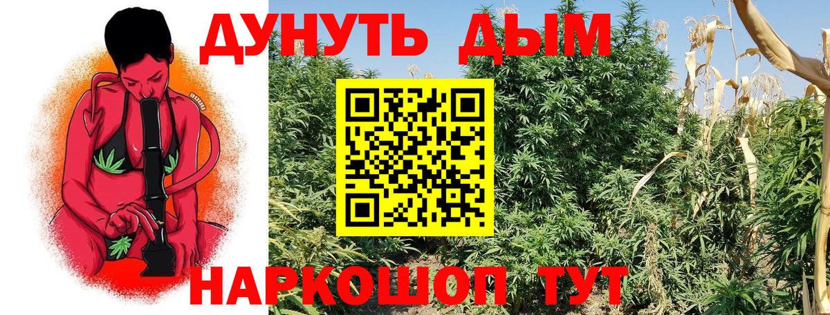 Канабис гибрид Кольчугино
